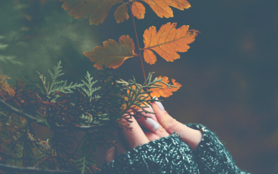 Bringing the Significance of the Autumn Equinox into the Autumn of your life